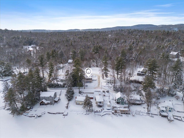 snowy aerial view featuring a mountain view