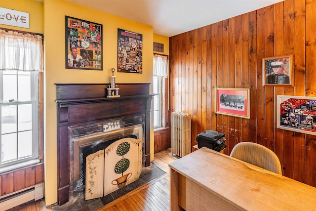 interior space featuring radiator heating unit, a baseboard radiator, and plenty of natural light