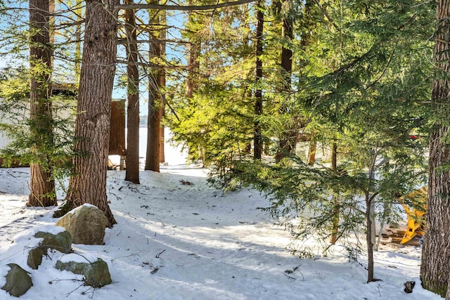 view of snow covered land