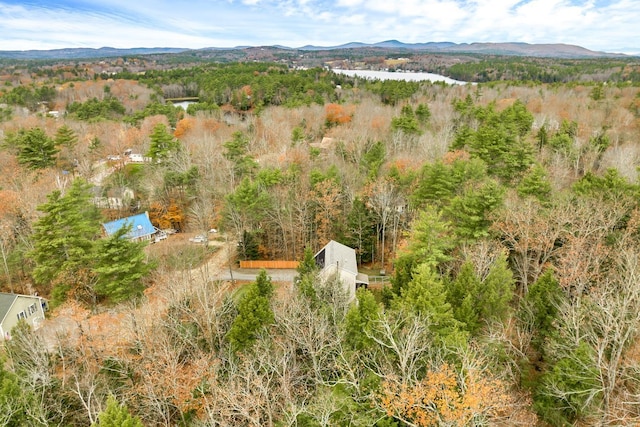 drone / aerial view with a mountain view