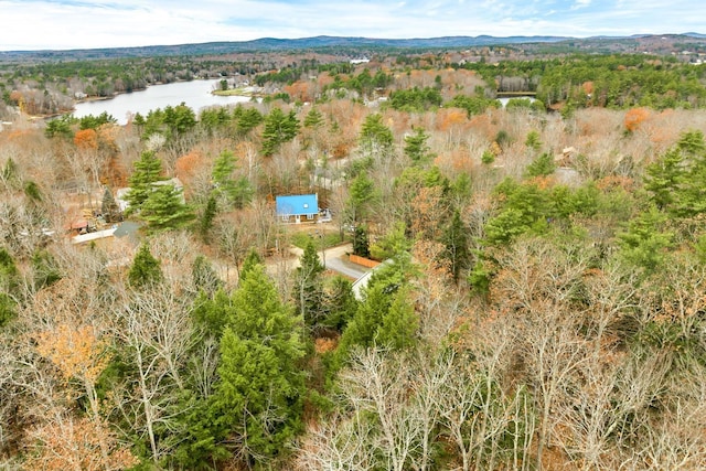 birds eye view of property with a water and mountain view