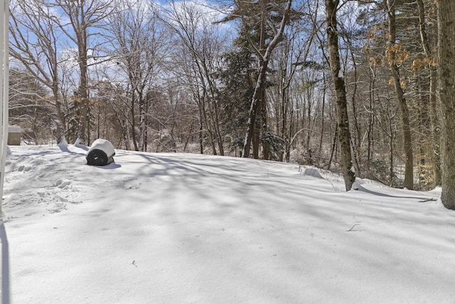 view of yard covered in snow