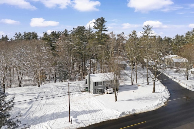 view of yard layered in snow