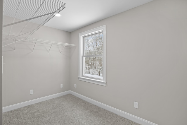 spacious closet featuring carpet