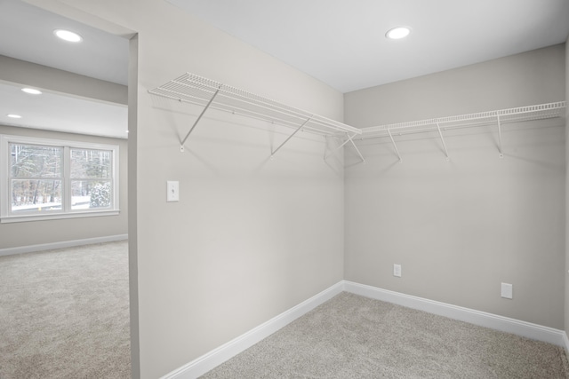 spacious closet featuring carpet