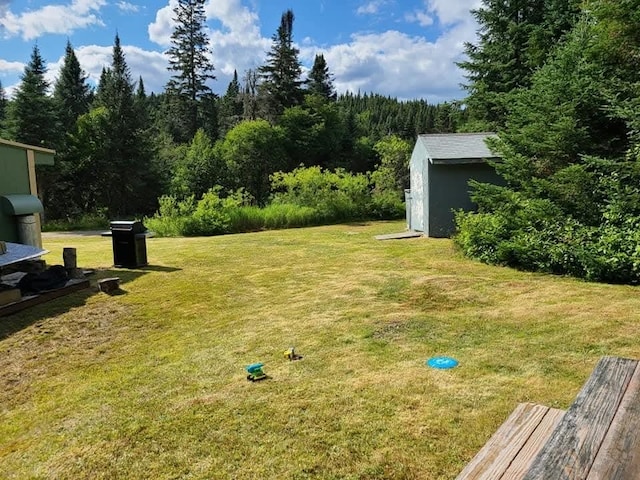 view of yard featuring a storage unit