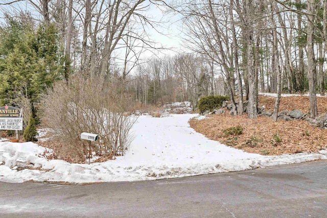 299 Main St, Danville NH, 03819 land for sale