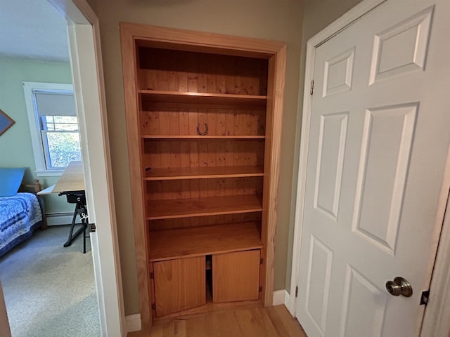 closet featuring baseboard heating