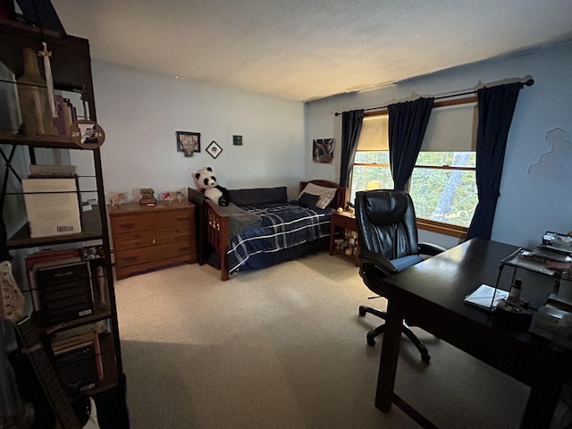 bedroom with carpet