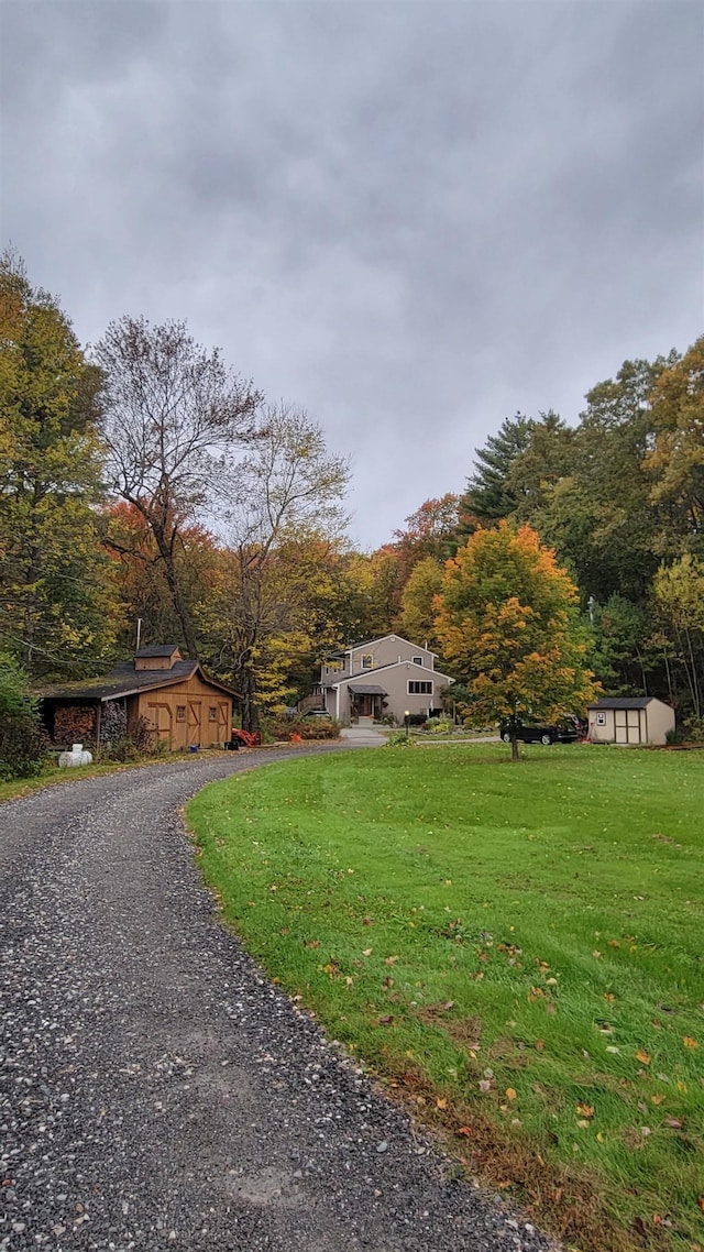 view of yard with a storage shed