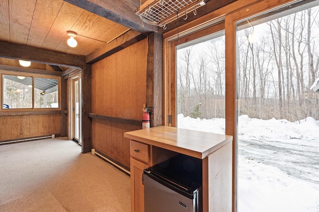 interior space featuring wood ceiling, a baseboard radiator, carpet floors, and wood walls