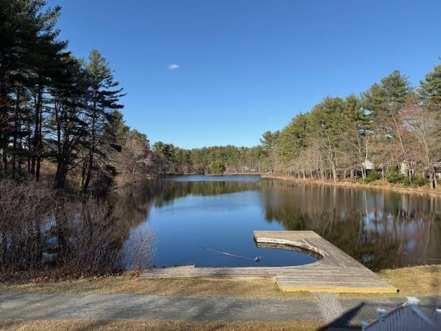 359 Winding Pond Rd Unit 359, Londonderry, NH 03053 - dock area with a water view and a view of trees