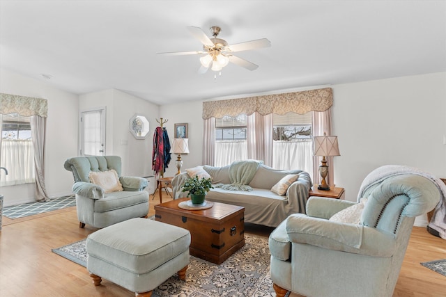 living room with ceiling fan and light wood-type flooring