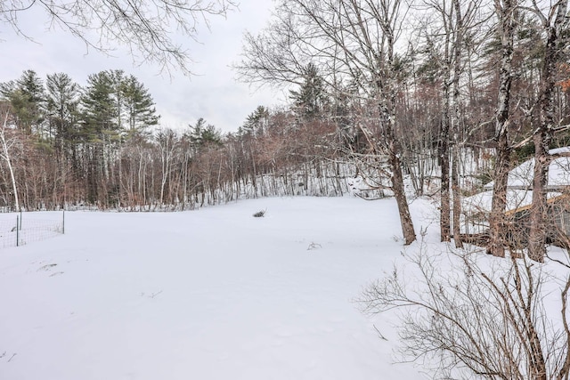 view of yard covered in snow