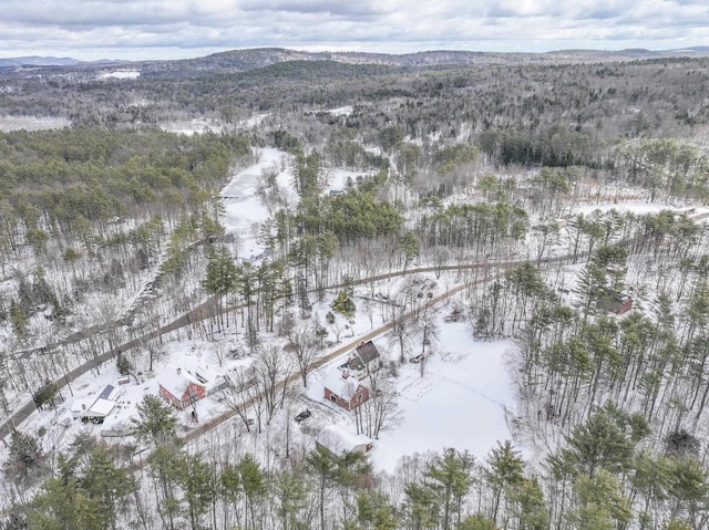 snowy aerial view with a mountain view