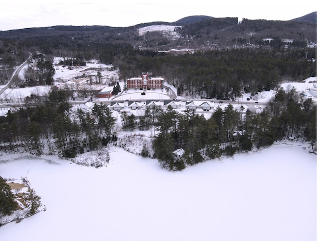 snowy aerial view featuring a mountain view