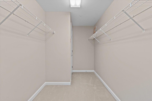 spacious closet featuring carpet floors