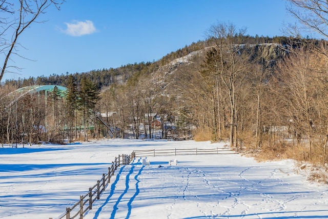 view of snowy yard