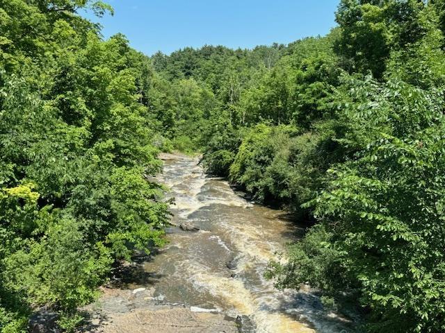 view of local wilderness featuring a forest view