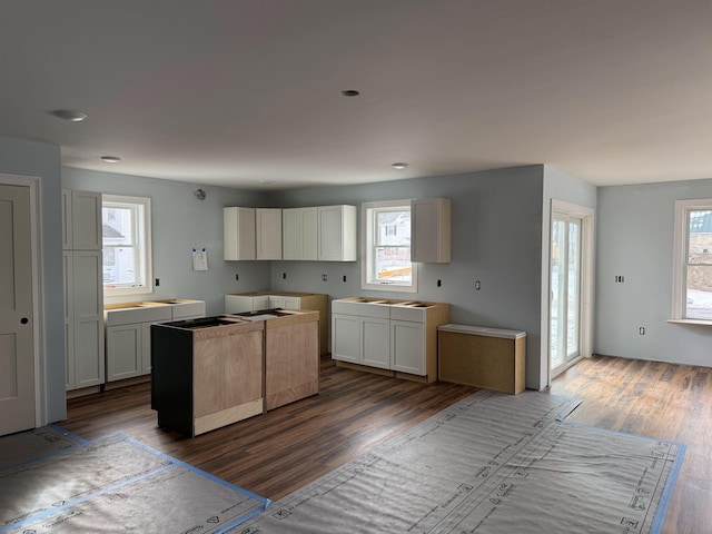 kitchen featuring dark wood-type flooring, a healthy amount of sunlight, and white cabinets