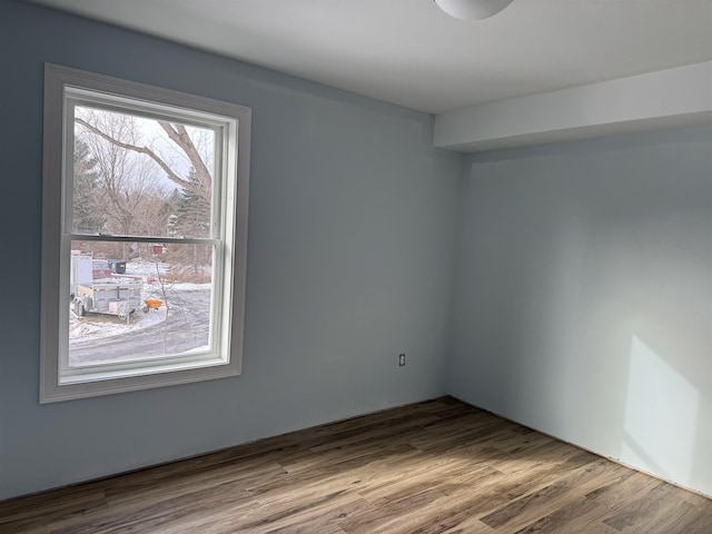 spare room with wood finished floors