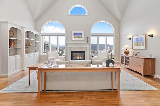 living room with a mountain view, high vaulted ceiling, and light hardwood / wood-style floors