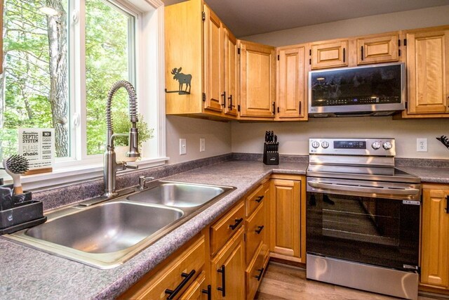 kitchen featuring stainless steel appliances, sink, and light hardwood / wood-style flooring