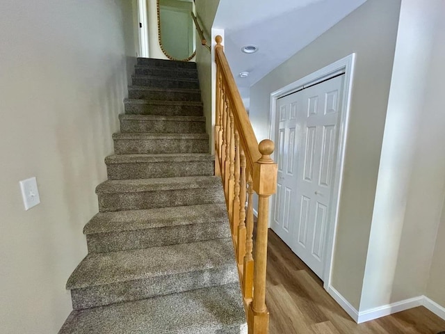 staircase featuring wood-type flooring