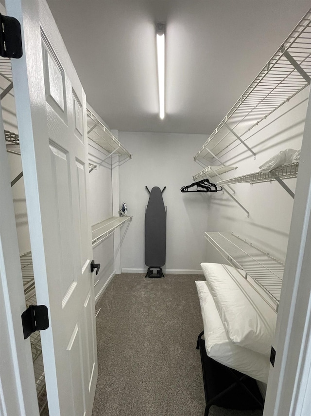 spacious closet with carpet