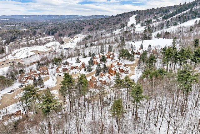 snowy aerial view with a mountain view