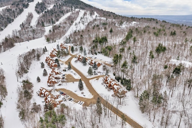 snowy aerial view featuring a mountain view