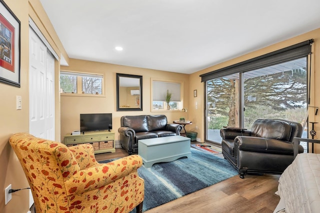 living room featuring hardwood / wood-style flooring