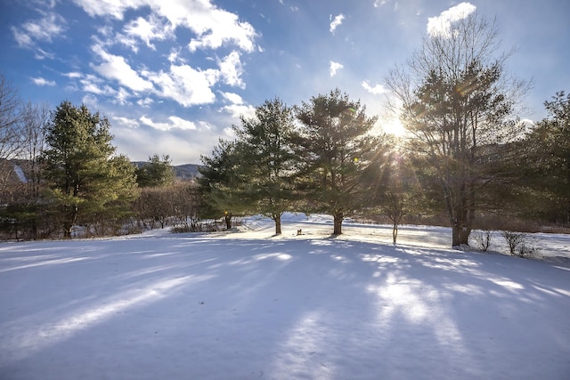 view of yard covered in snow