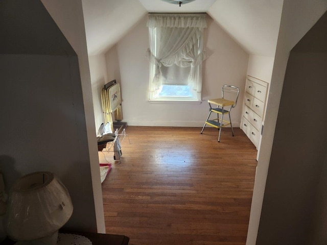 bonus room with wood-type flooring and lofted ceiling