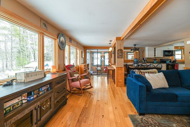 living room with light hardwood / wood-style floors