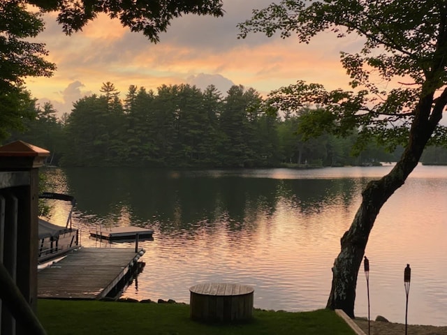 view of water feature featuring a boat dock