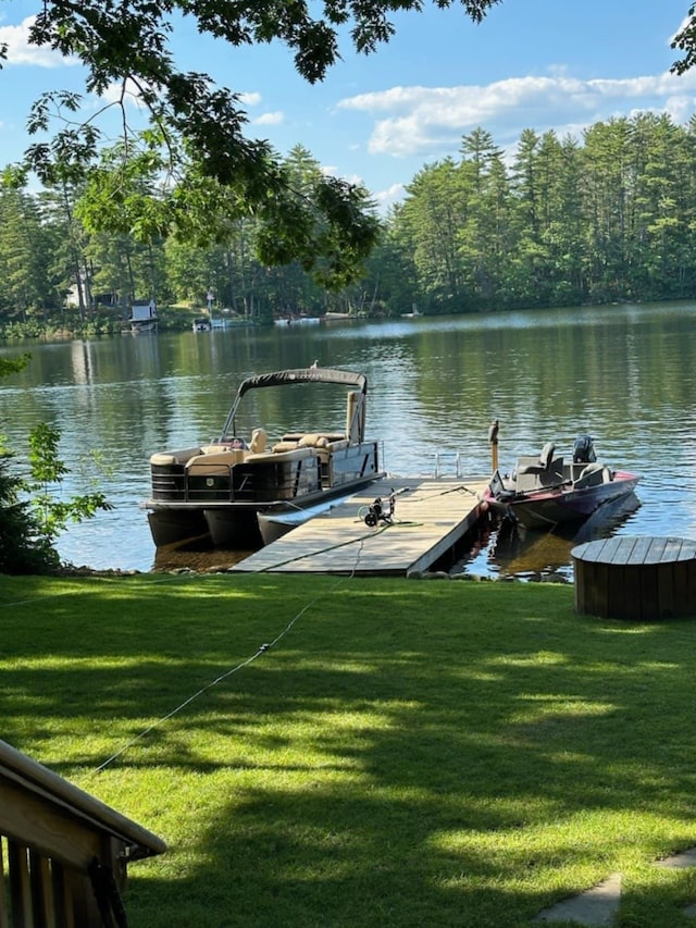 dock area featuring a water view and a lawn