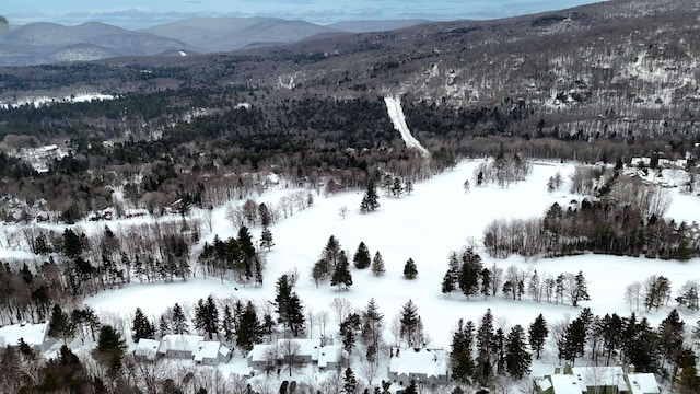 snowy aerial view featuring a mountain view