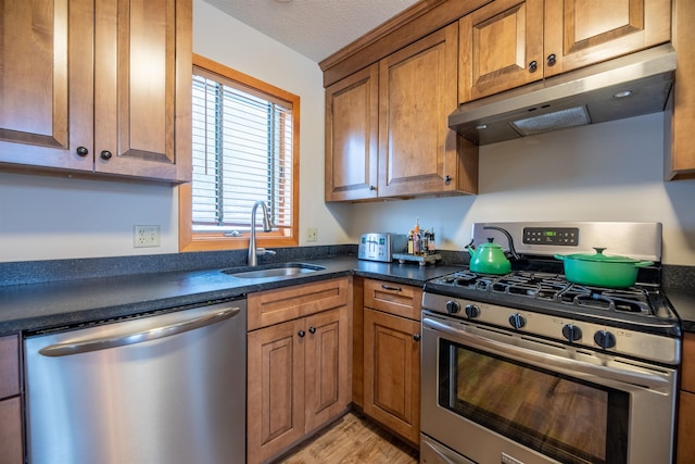 kitchen featuring sink, light hardwood / wood-style floors, and appliances with stainless steel finishes