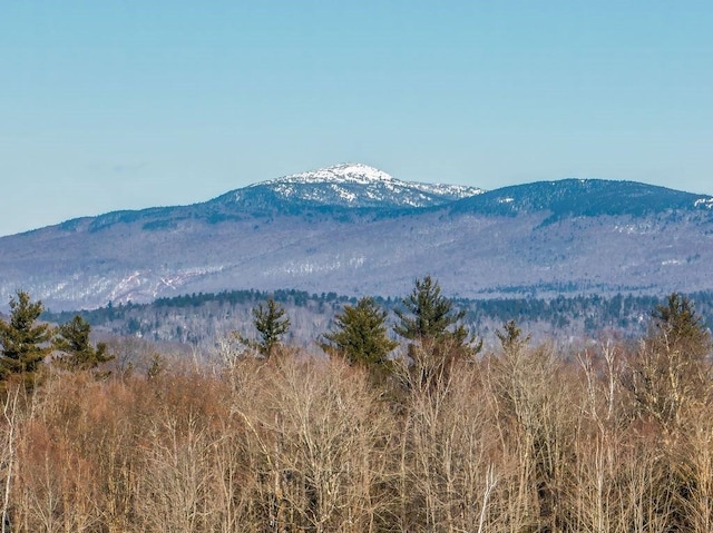 view of mountain feature