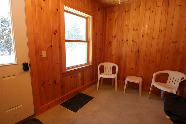 living area featuring a wealth of natural light, wooden walls, and carpet