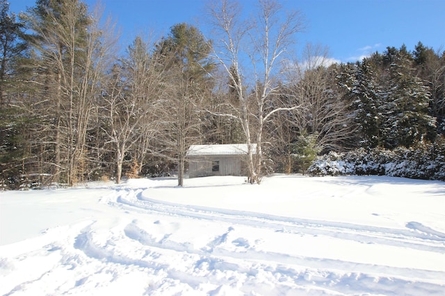 view of yard covered in snow