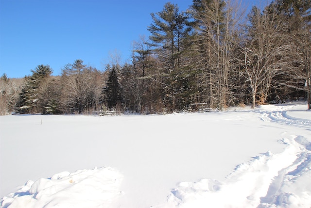 view of yard layered in snow