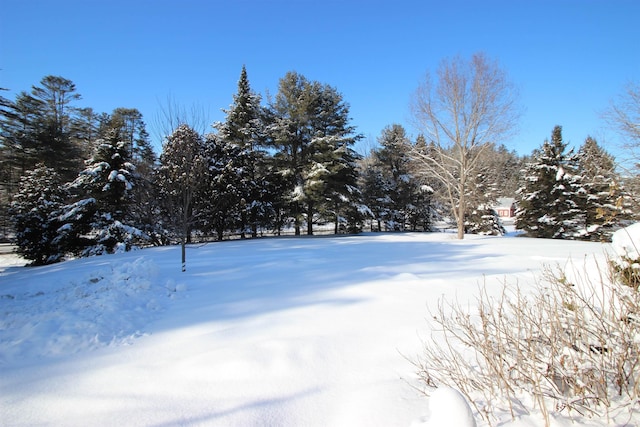 view of yard layered in snow