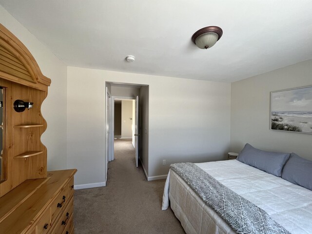 bedroom with carpet floors