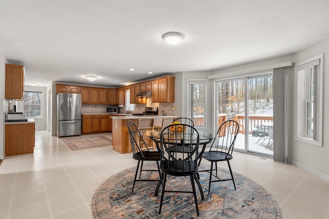 dining area featuring a wealth of natural light