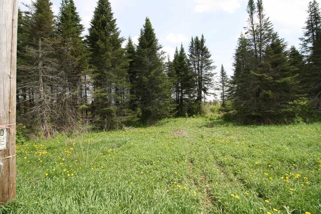 00 Chilafoux Rd, Charleston, VT 05872