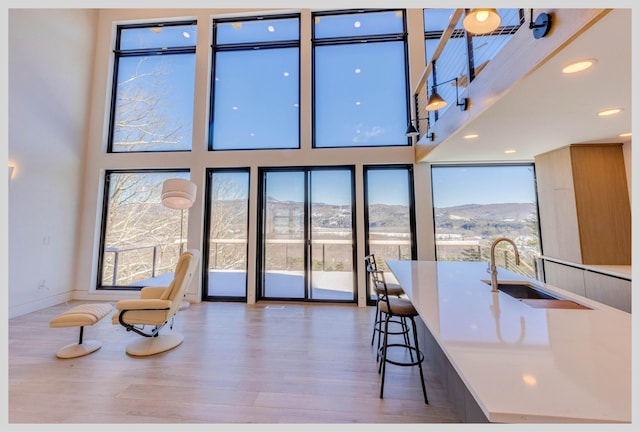 kitchen featuring hardwood / wood-style flooring, a mountain view, and a healthy amount of sunlight