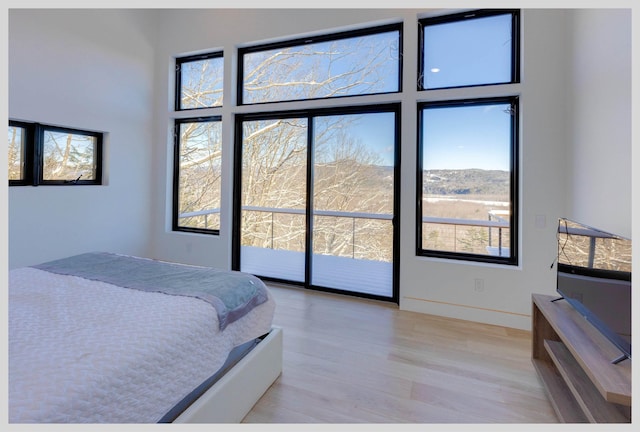 bedroom with access to exterior, light hardwood / wood-style floors, and a high ceiling