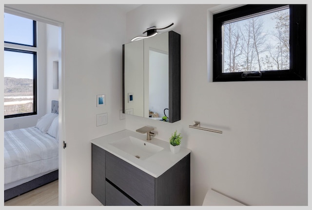 bathroom featuring vanity and hardwood / wood-style floors